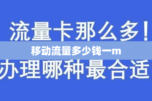 移动流量多少钱一m